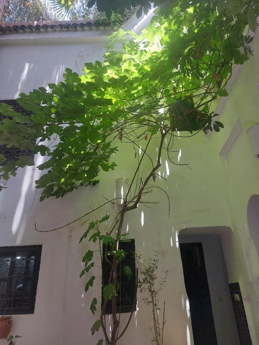 Riad Dar Lalla Fatna Марракеш Экстерьер фото